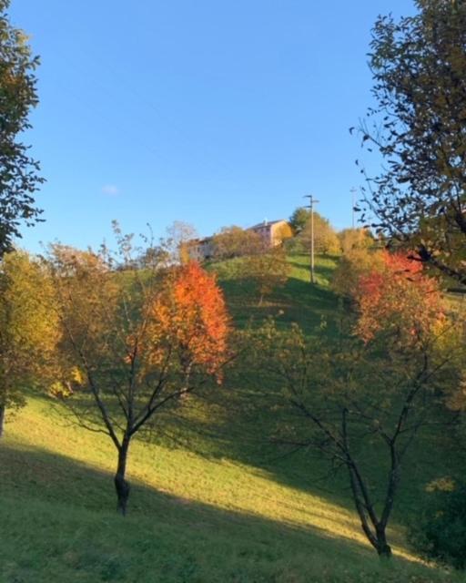 La Corte Di Cesio Monfumo ภายนอก รูปภาพ